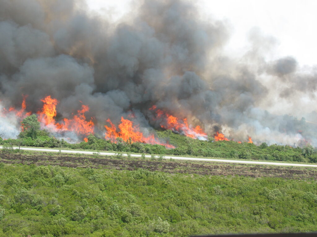 The Evans Road fire burns in eastern North Carolina in 2008.