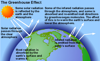 why is greenhouse effect important