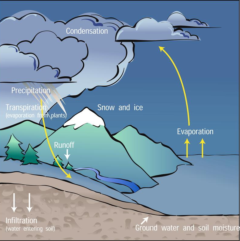 Diagram over vannets kretsløp