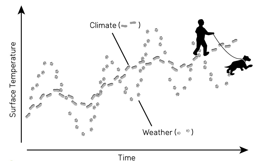 Image showing person walking a dog along a graph. Y-axis represents surface temperature, X-axis represents time. While the dog is walking back-and-forth (varying surface temperatures), the person is walking in more of a predictable, straighter line. The dog's movement represents weather while the person's movement represents climate.