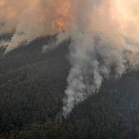 Photograph of April 2016 Silver mine wildfire in the North Carolina mountains.