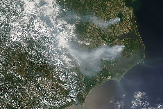 great dismal swamp wildfire