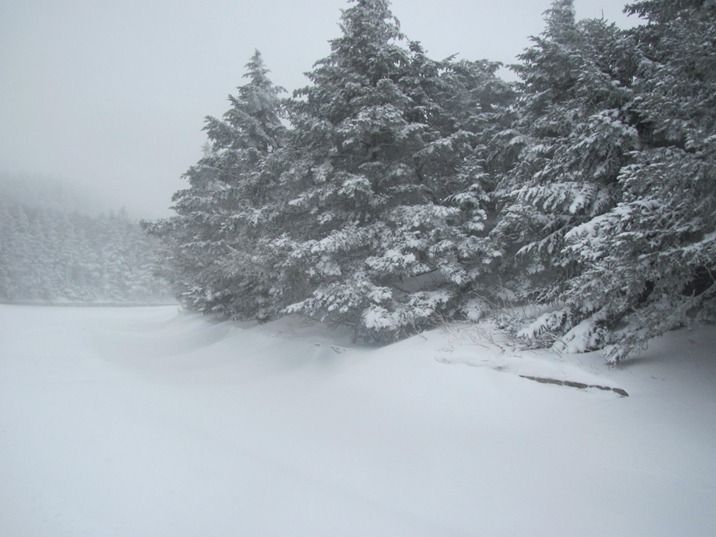 mount mitchell winter