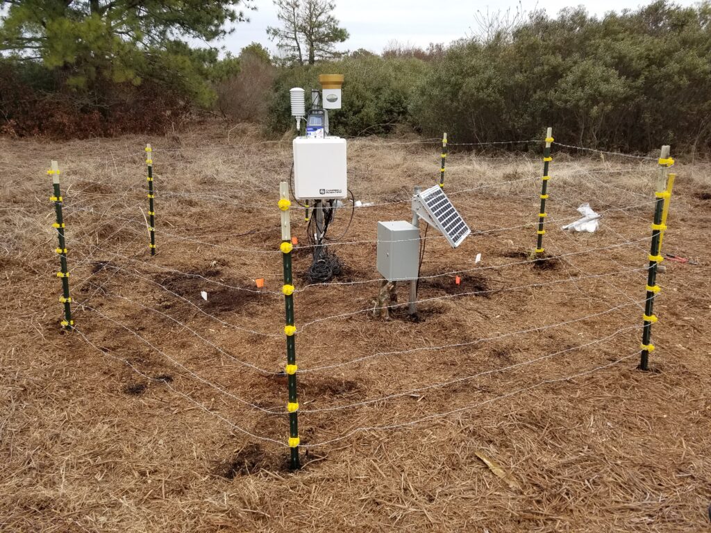 Our organic soil moisture monitoring station on a restored block at the Pocosin Lakes Wildlife Refuge.