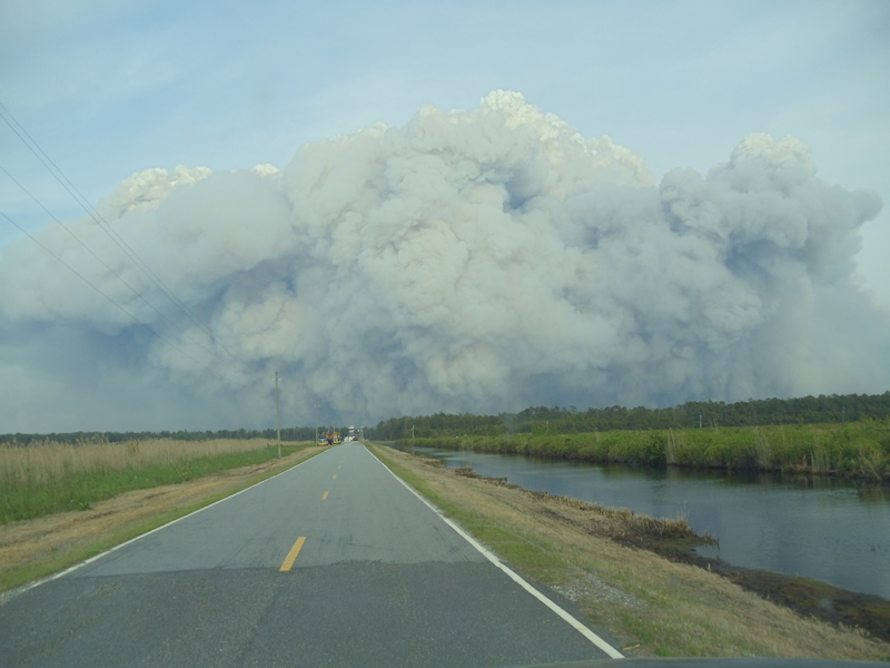 Heavy smoke produced by the Pains Bay fire in 2011.