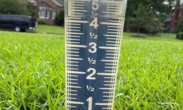 A photograph of a backyard rain gauge with more than 4 inches of water in it.