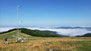 Valley fog at Bear Wallow Mountain (July 2021)