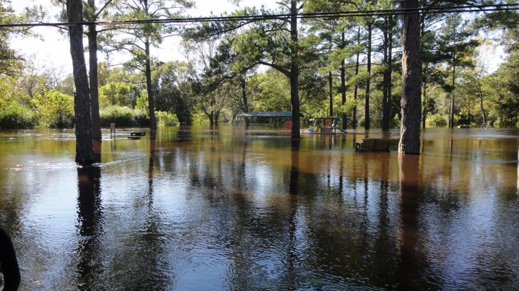 A photo of flooding along the Trent River