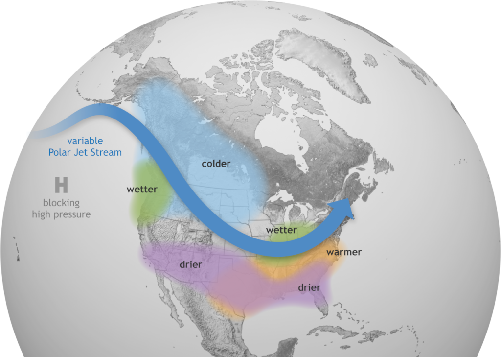 A globe showing typical wintertime La Niña impacts in North America, including warmer and sometimes drier weather in North Carolina