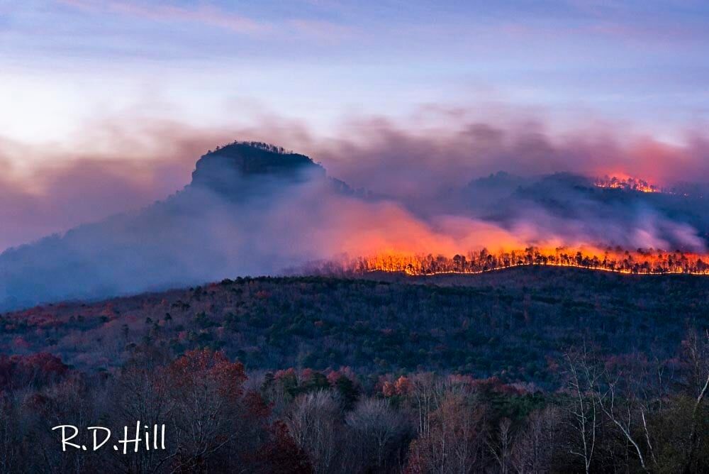 A photo of the wildfire burning on Pilot Mountain