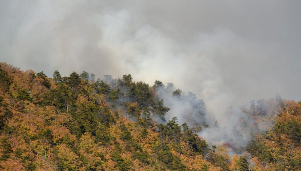 A photo of smoke on Sauratown Mountain