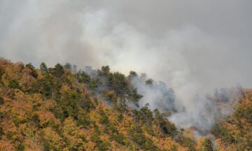 A photo of smoke on Sauratown Mountain