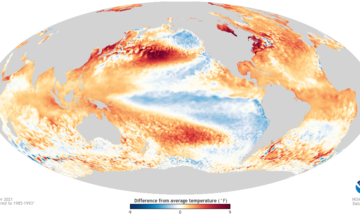 A map of global sea surface temperature anomalies in October 2021
