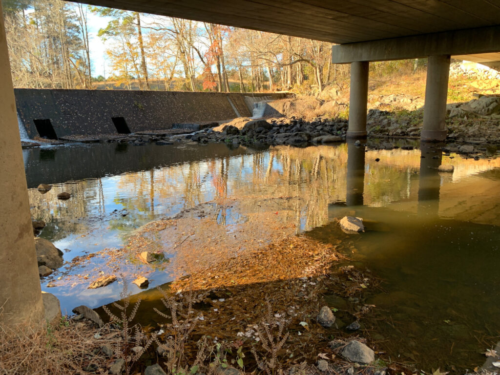 A photo of low water levels on Stoney Creek in Nash County