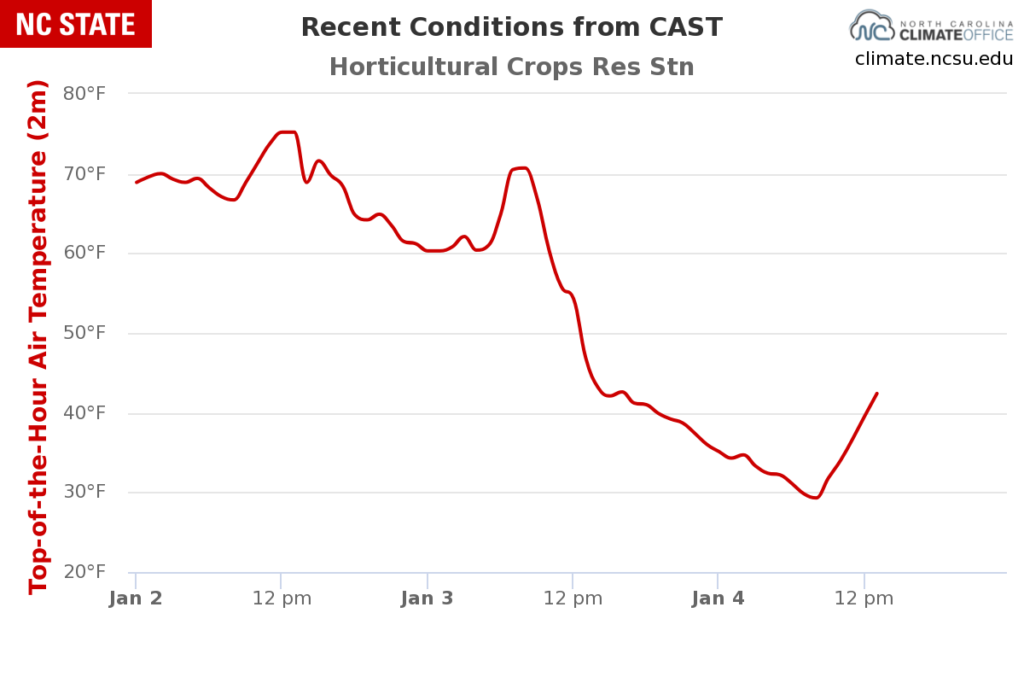 A graph of hourly temperatures from the Castle Hayne ECONet station on January 2-4, 2021