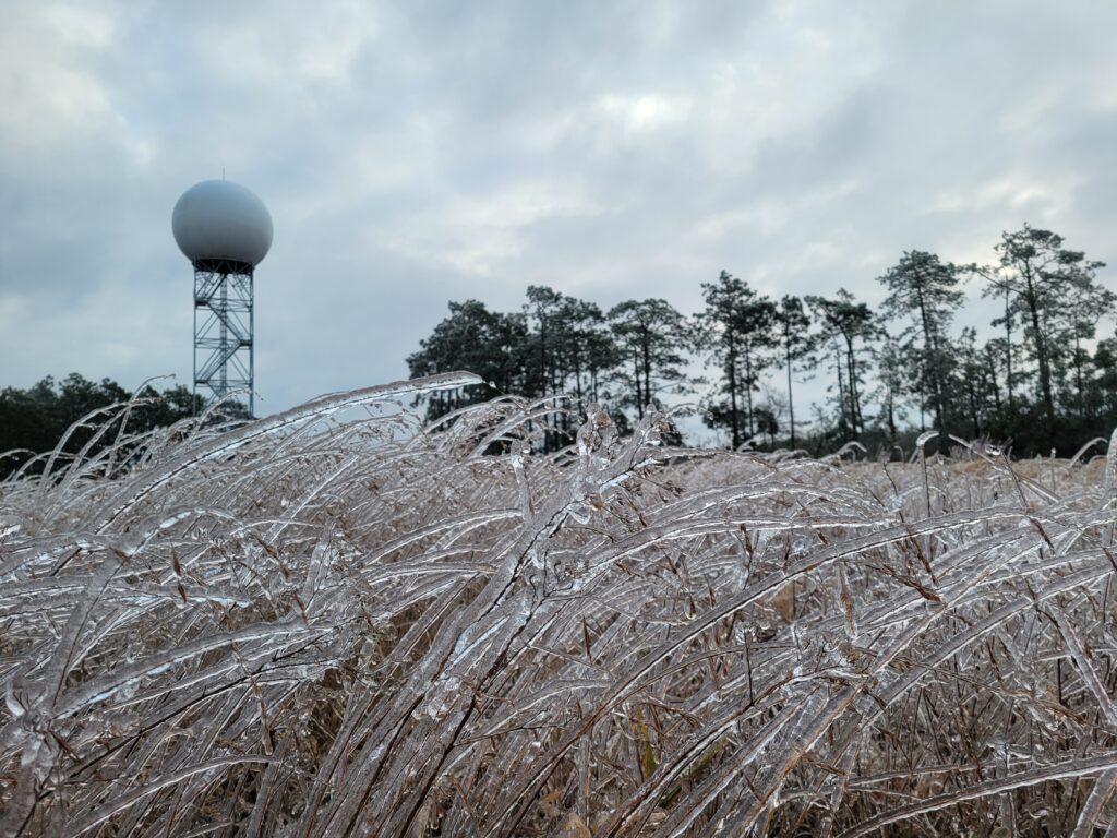 A photo of ice accumulation on vegetation near the NWS Newport . radar site