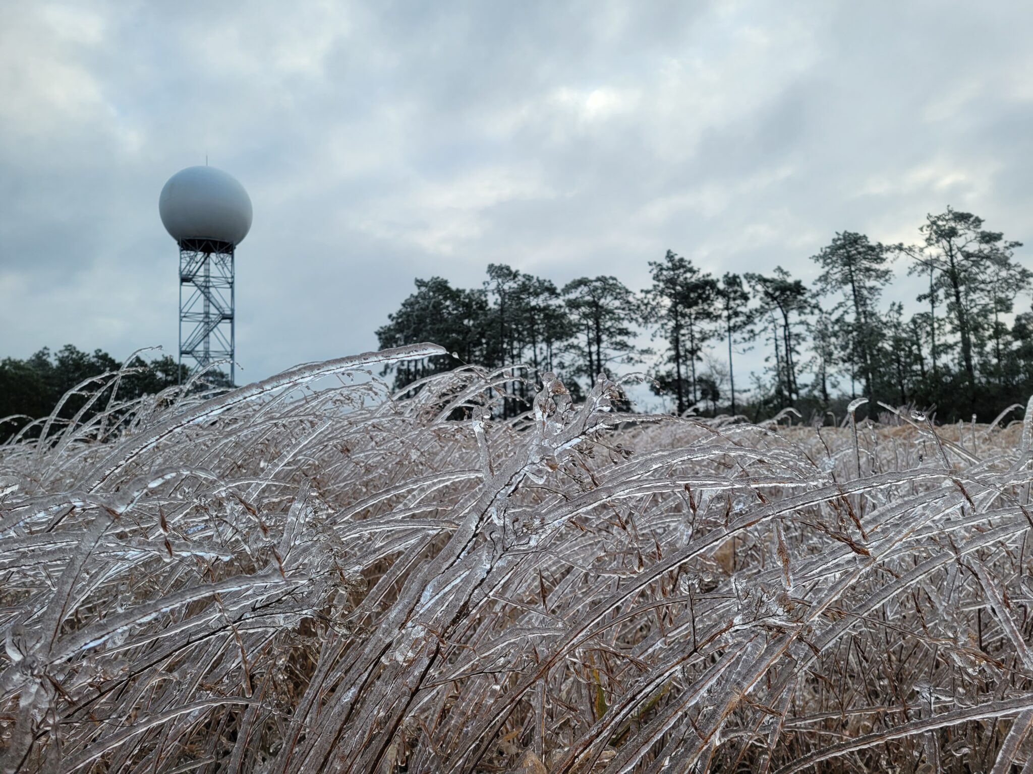 Nws Newport Nc - dcxnw77