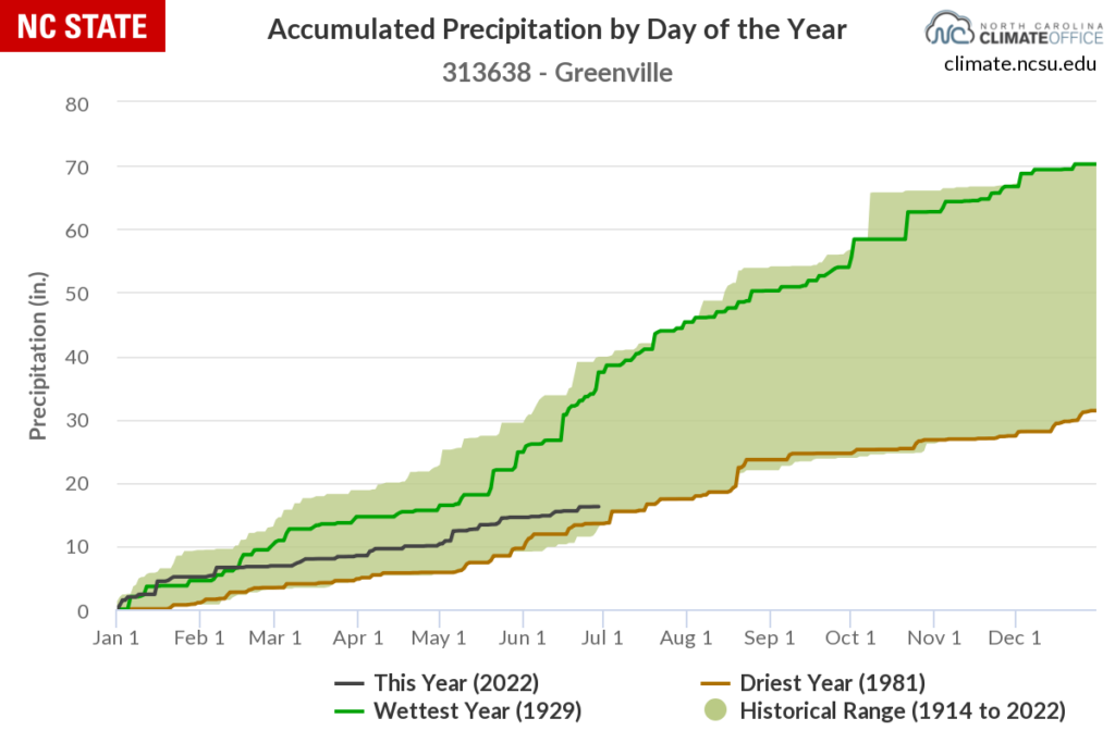 A graph of year-to-date precipitation accumulation in Greenville.