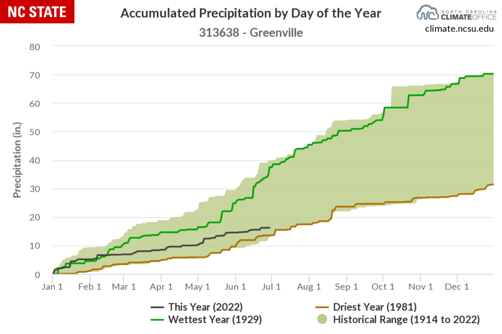 Graph of cumulative annual precipitation in Greenville.