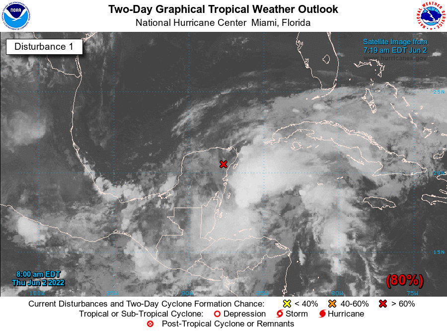 Satellite imagery of a tropical disturbance in the Gulf of Mexico