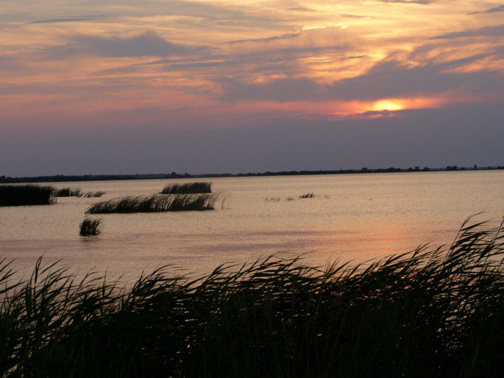 A photo of sunset over Lake Mattamuskeet