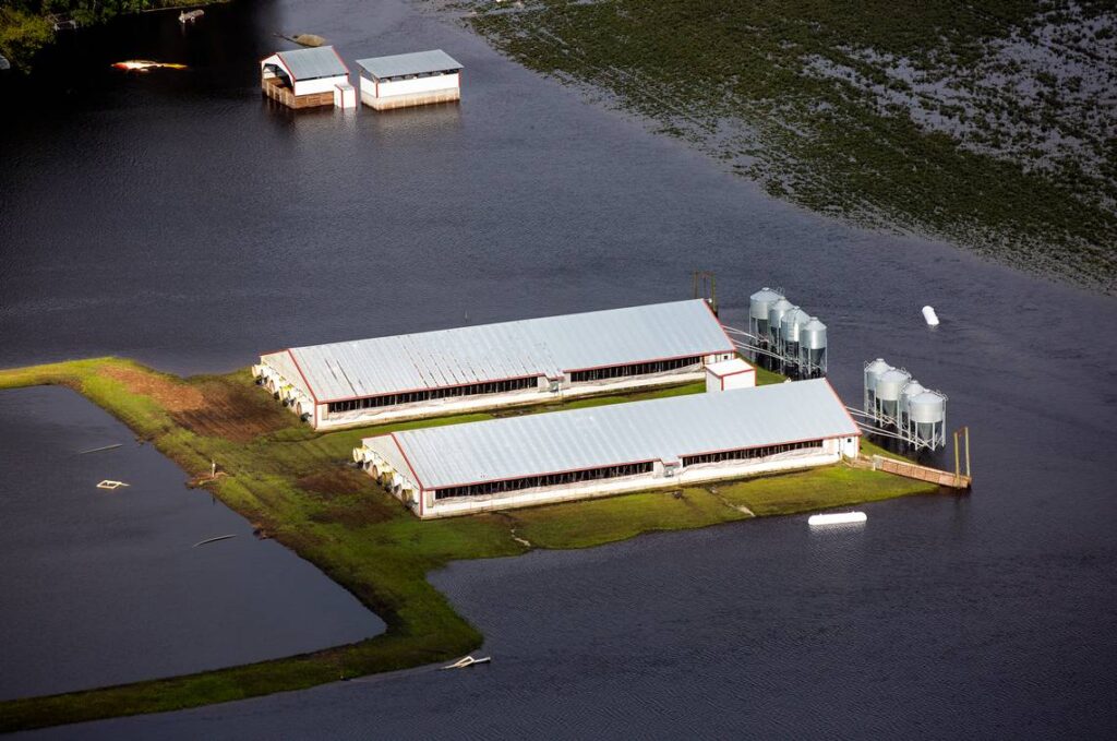A photo of a flooded farm near Kinston after Hurricane Florence