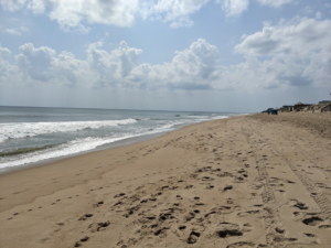 Beach at Kill Devils Hill, NC. May 2022 (John McGuire)