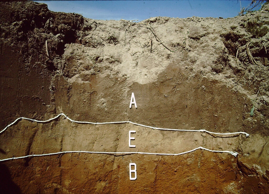 A photo of a soil cross section showing sandy, mineral, and clay layers