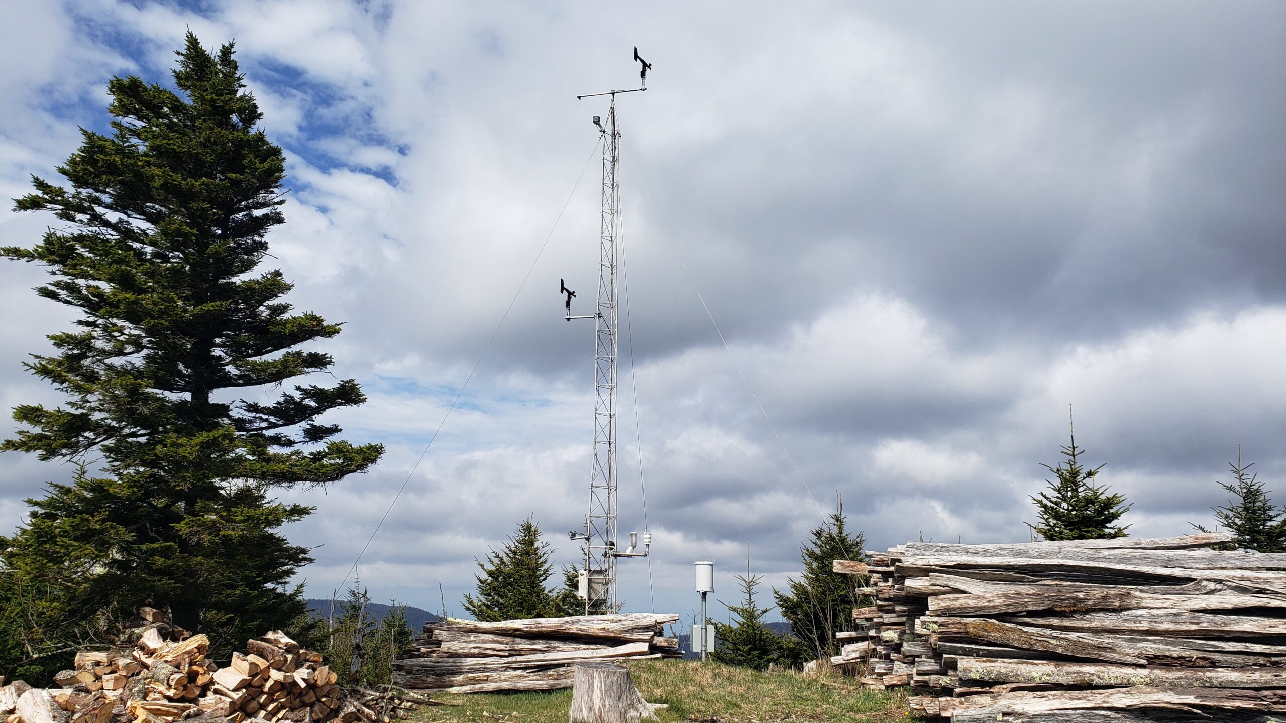 A photo of the ECONet weather station on Mount Mitchell