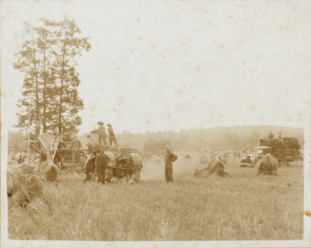 A photo of farmers threshing wheat in Stanly County
