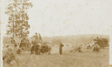 A photo of farmers threshing wheat in Stanly County