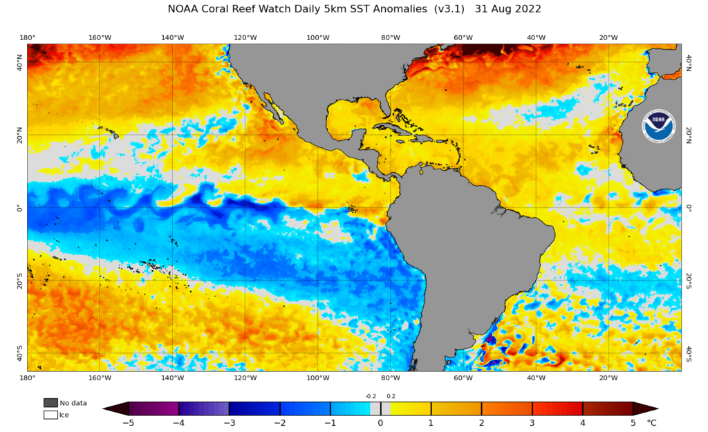 A map of sea surface temperature anomalies across the tropical Atlantic and Pacific oceans