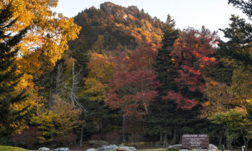 A photo of fall leaf colors at Linville Peak on Grandfather Mountain