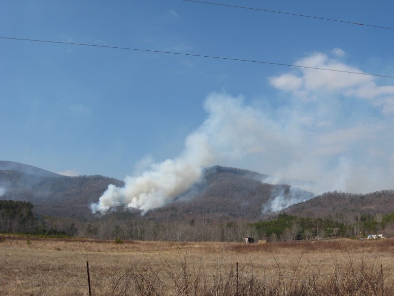 A photo of the Judes Gap wildfire from February 2011
