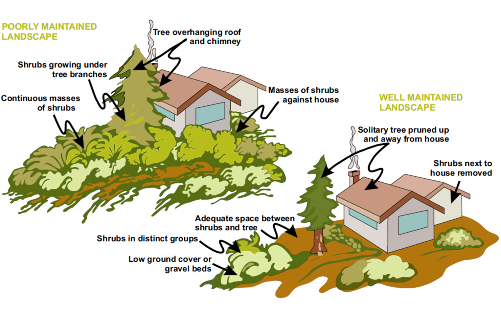 A graphic showing firewise landscaping practices