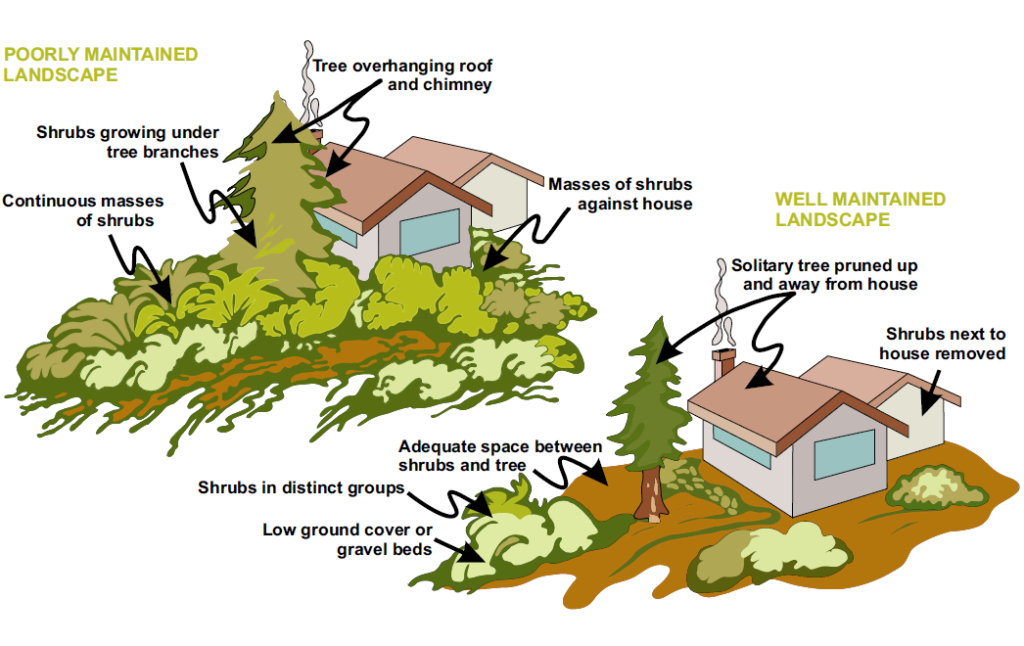 An image showing fire landscaping activities