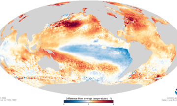 A map of global sea surface temperature anomalies from October 2022