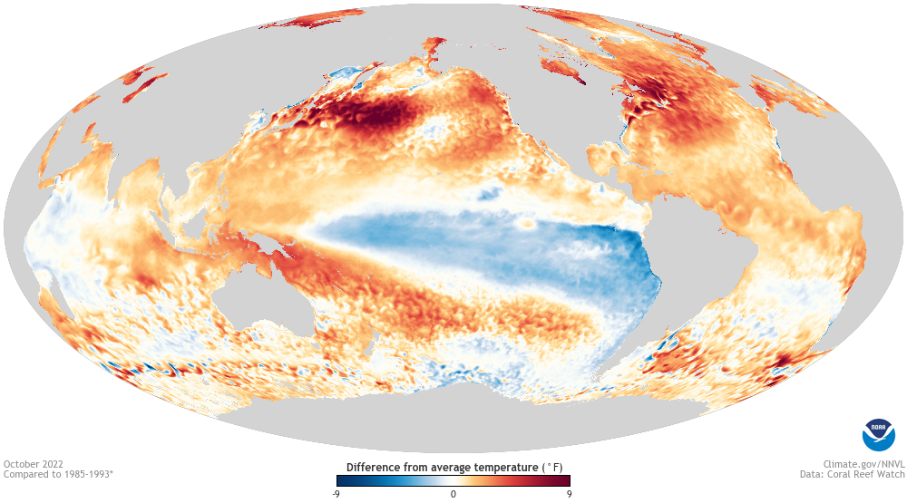 A map of global sea surface temperature anomalies from October 2022