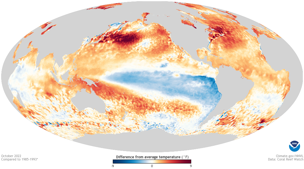 Anomalous global sea surface temperature map from October 2022