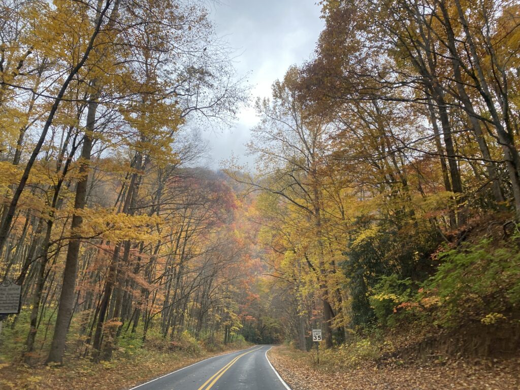 A photo of fall colors along the road in Macon County