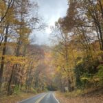A photo of fall colors along the road in Macon County