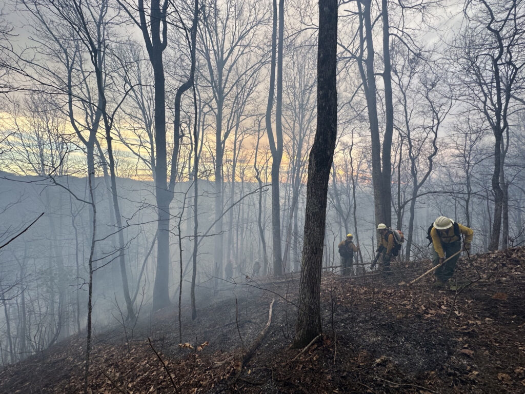 Image of fire crews working through thick smoke at the wildfire in Hurricane Ridge