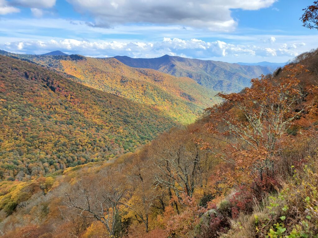 A photo of colorful leaves along the Blue Ridge Parkway
