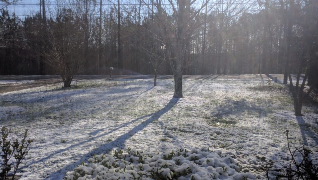 A photo of snow in Wake County on March 13, 2018