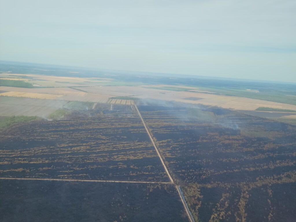 An aerial photo of smoldering on the site of the Last Resort wildfire