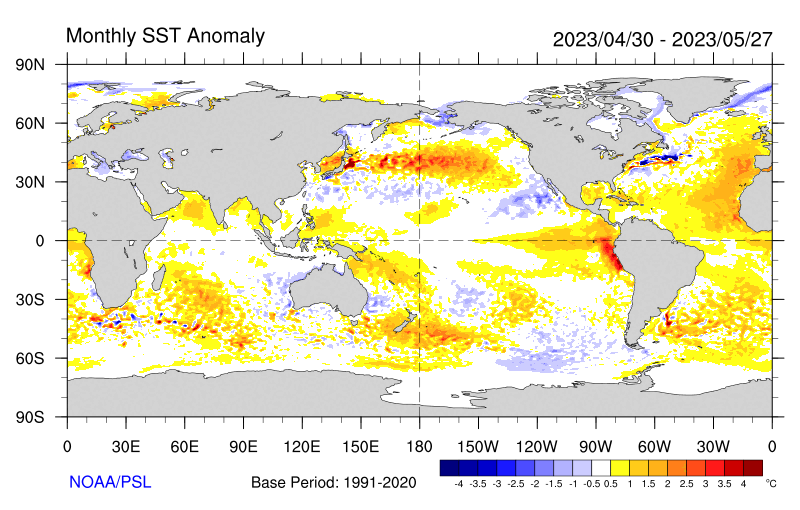 A map of global sea surface temperature anomalies during May 2023