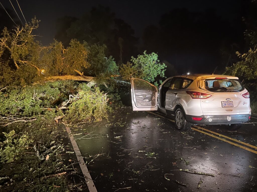 A photo of a tree down on a road in Carolina Beach on Thursday morning