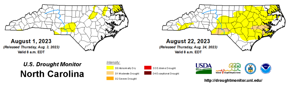 A comparison of drought maps from August 1 and 22, 2023, in North Carolina