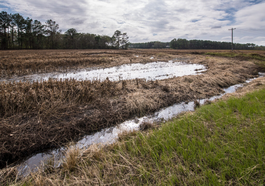 A photo of a flooded farm in Duplin County