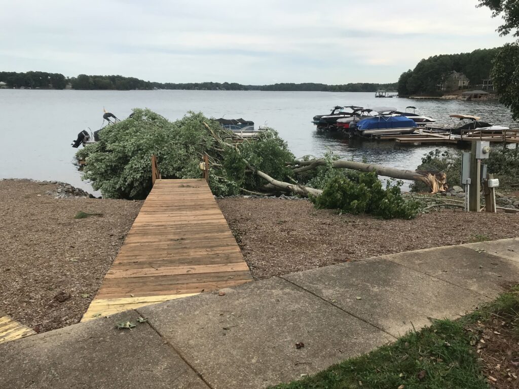 A photo of a tree down along the shores of Lake Norman after the August 7 tornado event